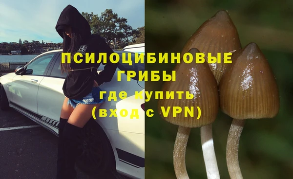 прущие крисы Алексеевка