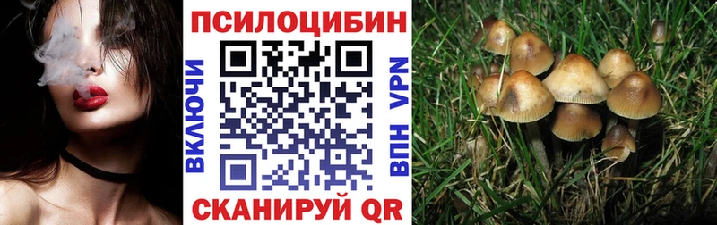 Псилоцибиновые грибы мухоморы магазин продажи Духовщина
